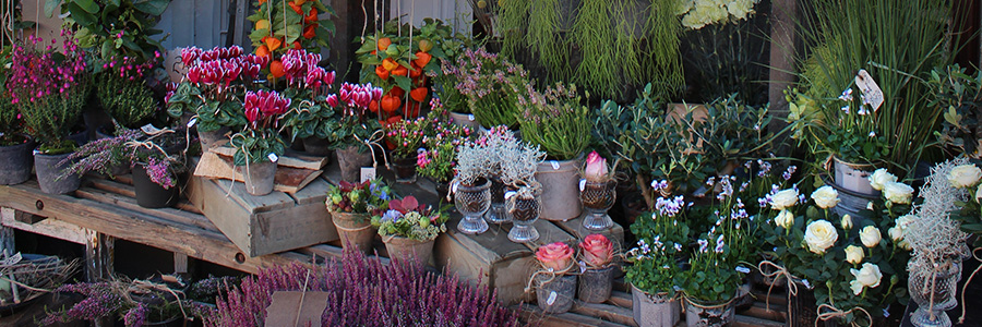 slide-04-ninettes-blomsterbinderi-b